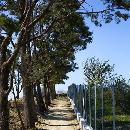 Villa - Ligea Sant'Agata sui due Golfi